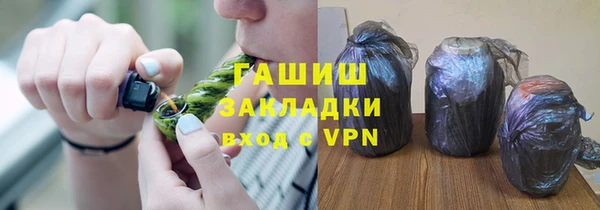 хмурый Арсеньев