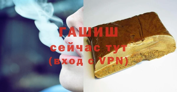 хмурый Арсеньев