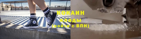стафф Бородино