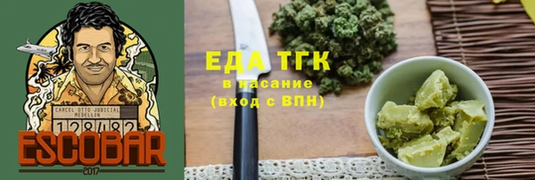 хмурый Арсеньев
