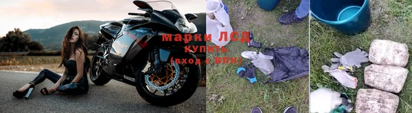 хмурый Арсеньев